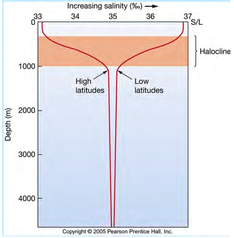 22.salinity-profiles